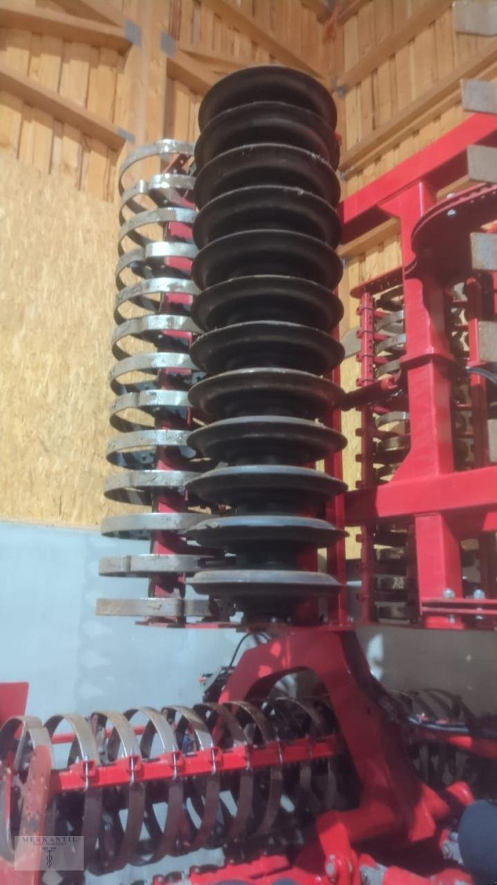 Grubber tipa Horsch Tiger 8 AS, Gebrauchtmaschine u Pragsdorf (Slika 4)