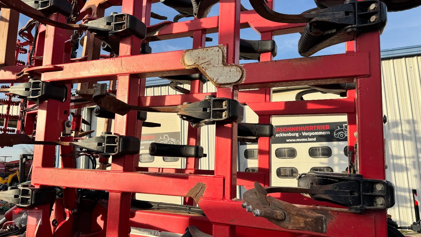 Grubber typu Horsch Tiger 8AS Reifenpacker + TopRing, Gebrauchtmaschine v Neubrandenburg (Obrázek 9)