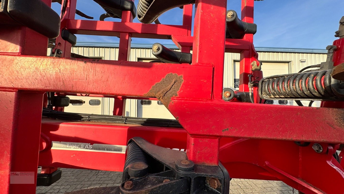 Grubber typu Horsch Tiger 8AS Reifenpacker + TopRing, Gebrauchtmaschine v Neubrandenburg (Obrázek 16)