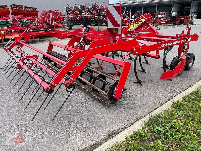 Grubber des Typs Knoche Ökogrubber 300, Gebrauchtmaschine in Oederan (Bild 5)