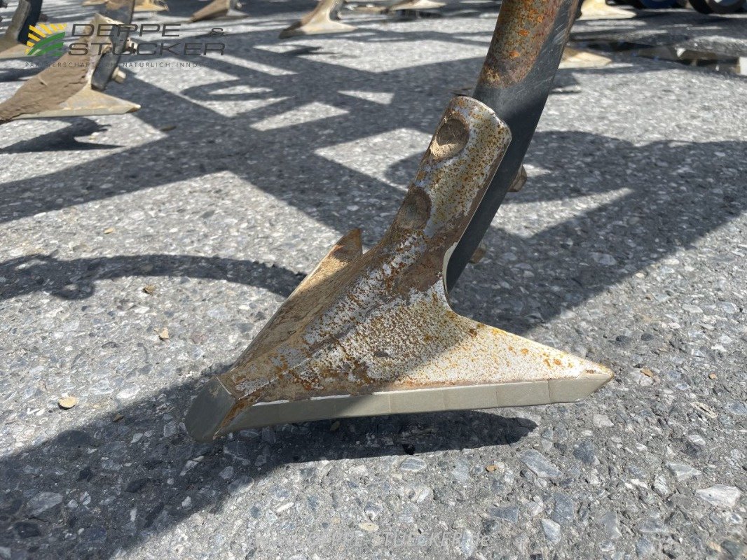 Grubber of the type Köckerling Allrounder Flatline 750, Gebrauchtmaschine in Rietberg (Picture 15)