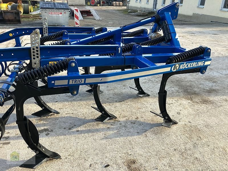 Grubber za tip Köckerling Trio 300 DSTS + Steinsicherung, Neumaschine u Salsitz (Slika 7)