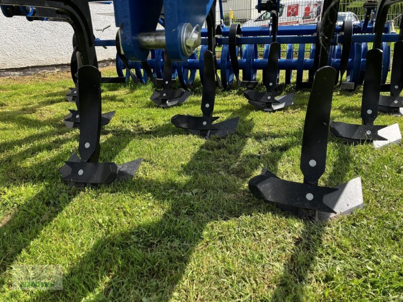 Grubber des Typs Köckerling Trio 300, Gebrauchtmaschine in Spelle (Bild 12)