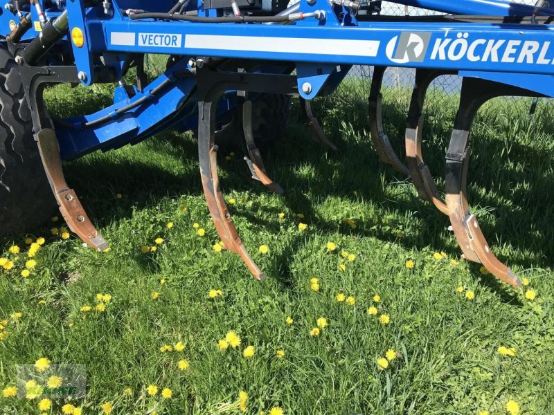 Grubber del tipo Köckerling Vector 460, Gebrauchtmaschine In Spelle (Immagine 12)