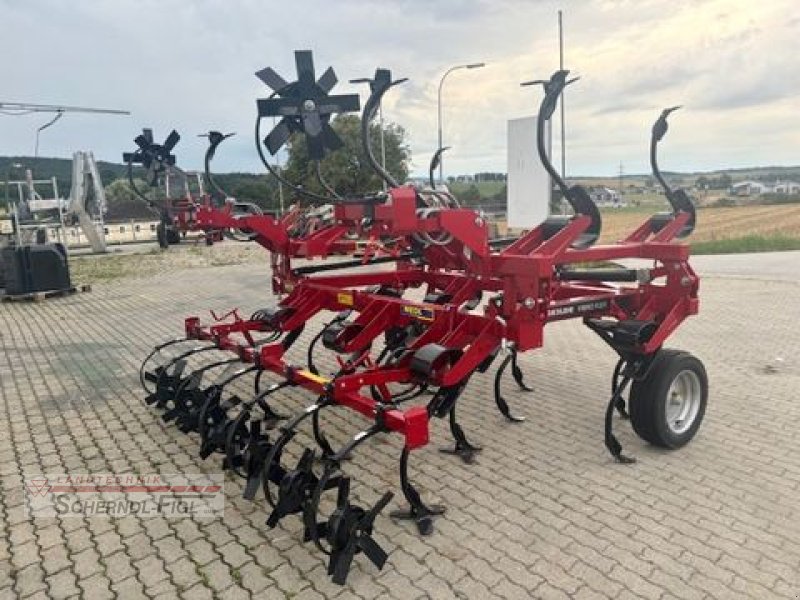 Grubber a típus Kongskilde Grubber VFM 4319, Gebrauchtmaschine ekkor: St.Margarethen (Kép 4)