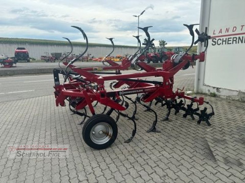 Grubber a típus Kongskilde Grubber VFM 4319, Gebrauchtmaschine ekkor: St.Margarethen (Kép 5)