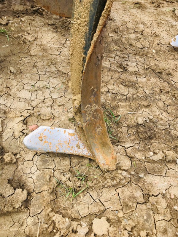 Grubber typu Kuhn CULTIMER 350, Gebrauchtmaschine v CHEVILLON  (MAIZEROY) (Obrázek 7)