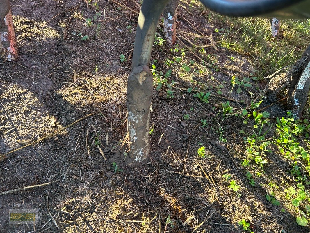 Grubber του τύπου Kuhn Prolander 600R, Gebrauchtmaschine σε Grabow (Φωτογραφία 6)