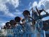 Grubber del tipo Lemken Gigant Smaragd 9/800 KÜA, Gebrauchtmaschine In Prenzlau (Immagine 12)