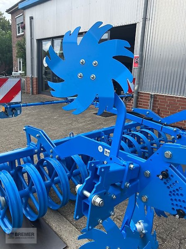 Grubber del tipo Lemken KARAT 10/300 mit DPW 540/540, Gebrauchtmaschine In Asendorf (Immagine 14)