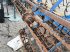 Grubber des Typs Lemken Korund 750L, Gebrauchtmaschine in azerailles (Bild 4)