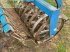 Grubber of the type Lemken rubin, Gebrauchtmaschine in PONTIVY (56 - MORBIHAN) (Picture 10)
