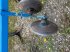 Grubber za tip Lemken SMARAGD 3 M, Gebrauchtmaschine u BOSC LE HARD (Slika 7)