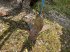 Grubber za tip Lemken SMARAGD 3 M, Gebrauchtmaschine u BOSC LE HARD (Slika 6)