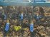 Grubber del tipo Lemken SMARAGD 9, Gebrauchtmaschine In BRAY en Val (Immagine 8)