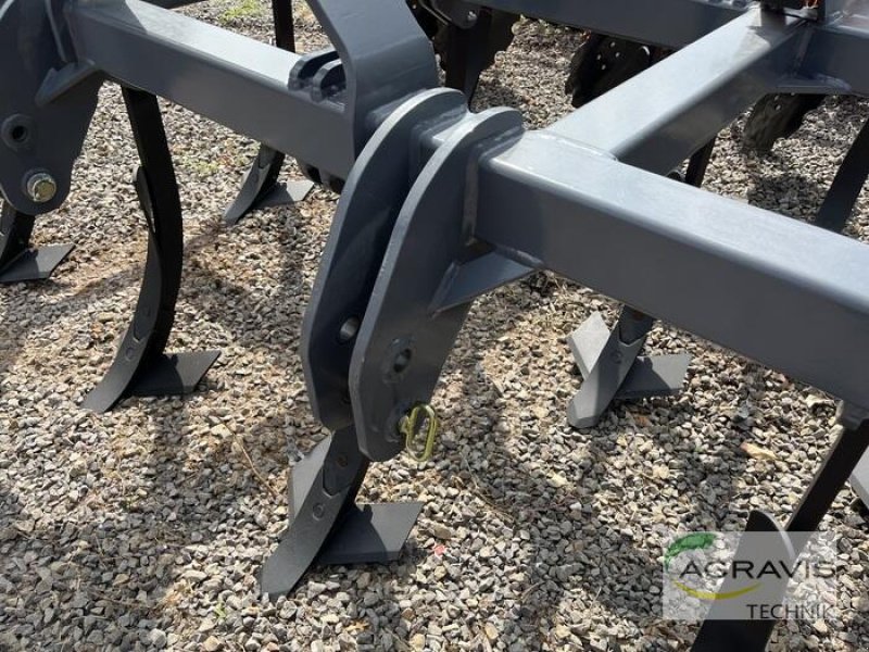 Grubber des Typs Mandam TOP 3,0, Neumaschine in Raesfeld (Bild 4)