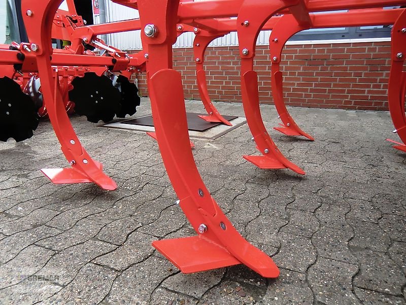 Grubber des Typs Maschio TERREMOTO 3-300 mit Dachringwalze, Gebrauchtmaschine in Asendorf (Bild 14)