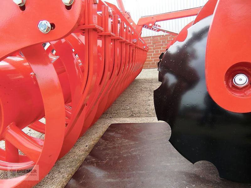 Grubber tipa Maschio TERREMOTO 3-300 mit Dachringwalze, Gebrauchtmaschine u Asendorf (Slika 18)