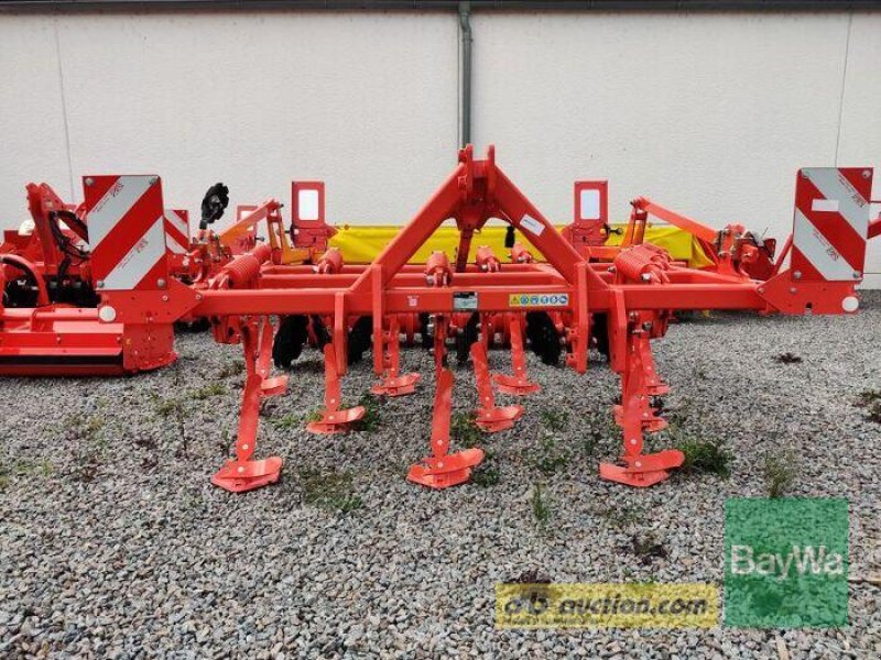 Grubber des Typs Maschio TERREMOTO 3 300, Gebrauchtmaschine in Straubing (Bild 1)