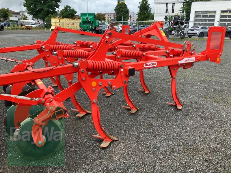 Grubber typu Maschio TERREMOTO 3 300, Vorführmaschine v Weiden i.d.Opf. (Obrázok 4)