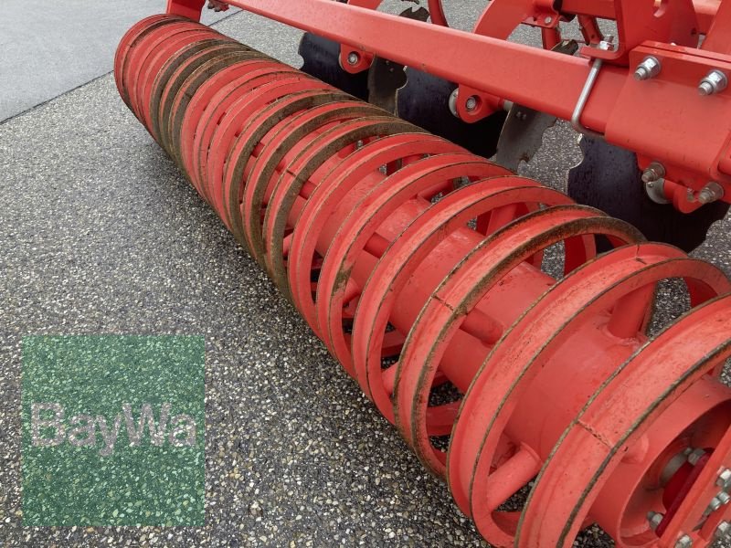 Grubber типа Maschio TERREMOTO 3 300, Vorführmaschine в Obertraubling (Фотография 8)