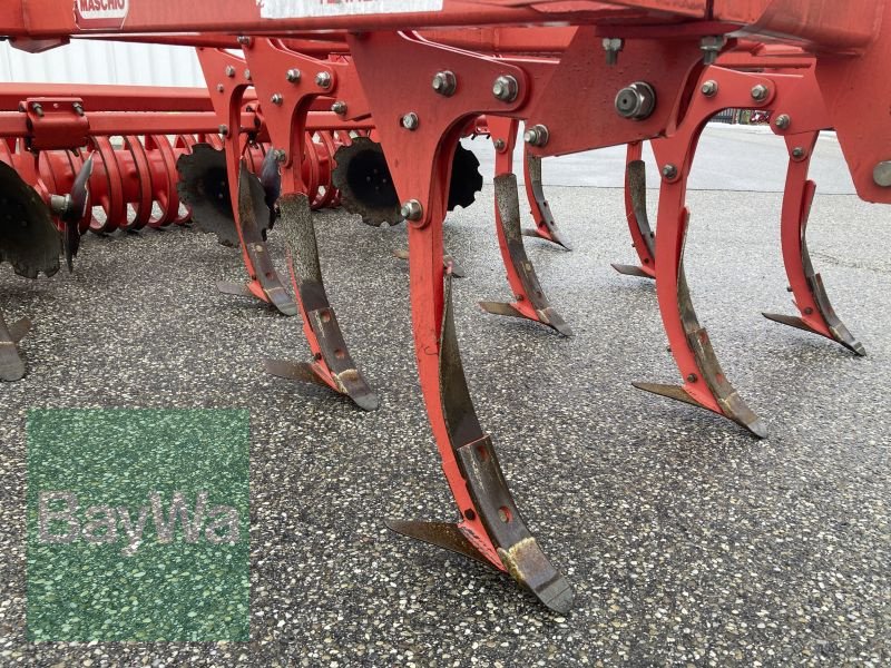 Grubber типа Maschio TERREMOTO 3 300, Vorführmaschine в Obertraubling (Фотография 10)