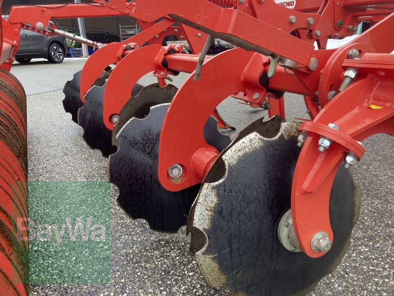 Grubber типа Maschio TERREMOTO 3 300, Vorführmaschine в Obertraubling (Фотография 11)