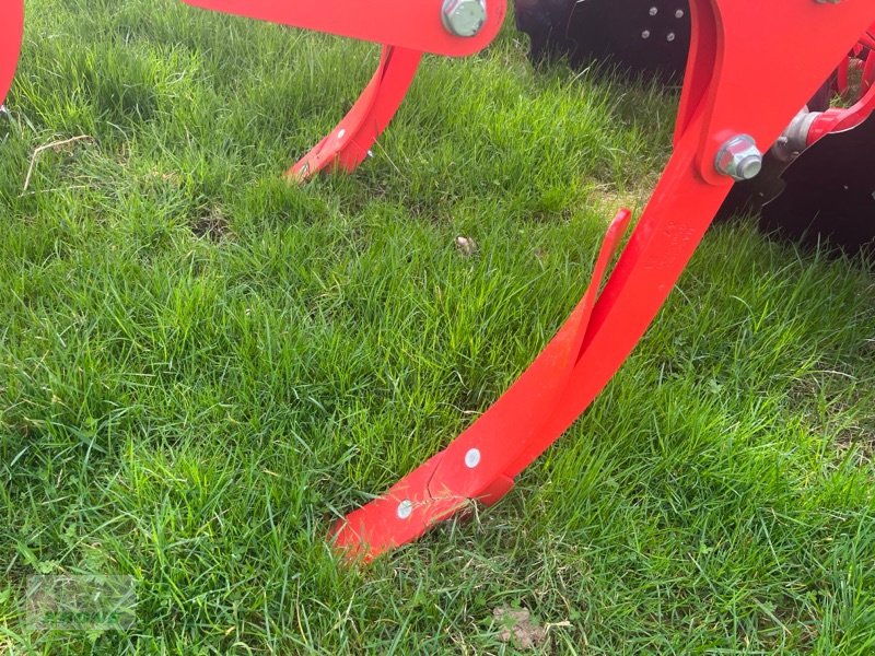 Grubber des Typs Maschio Terremoto 3 400P, Neumaschine in Gronau (Bild 5)