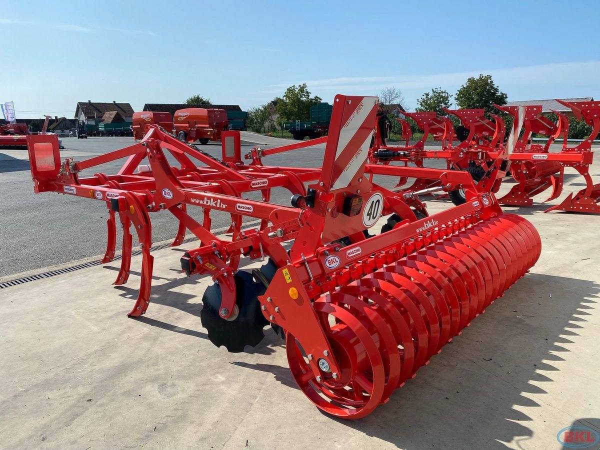 Grubber des Typs Maschio TERREMOTO 300 Grubber, Neumaschine in Rovisce (Bild 8)