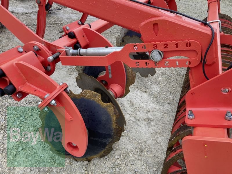 Grubber des Typs Maschio TERREMOTO 300, Gebrauchtmaschine in Dinkelsbühl (Bild 11)