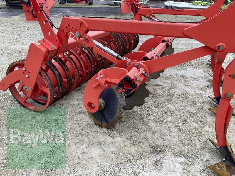 Grubber des Typs Maschio TERREMOTO 300, Gebrauchtmaschine in Dinkelsbühl (Bild 13)