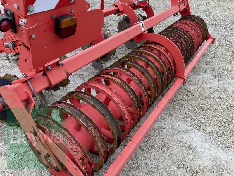 Grubber des Typs Maschio TERREMOTO 300, Gebrauchtmaschine in Dinkelsbühl (Bild 9)
