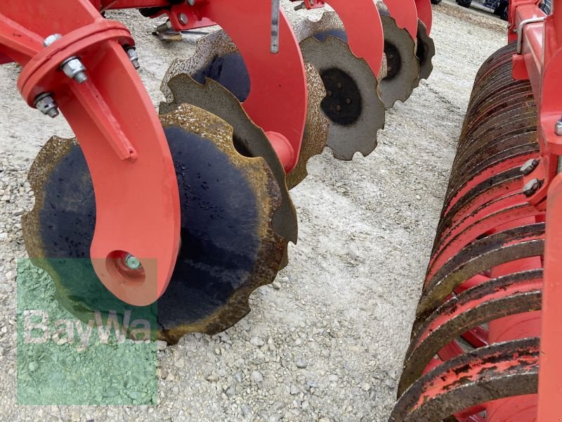 Grubber des Typs Maschio TERREMOTO 300, Gebrauchtmaschine in Dinkelsbühl (Bild 10)