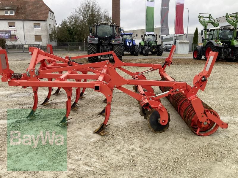 Grubber des Typs Maschio TERREMOTO 300, Gebrauchtmaschine in Dinkelsbühl (Bild 8)