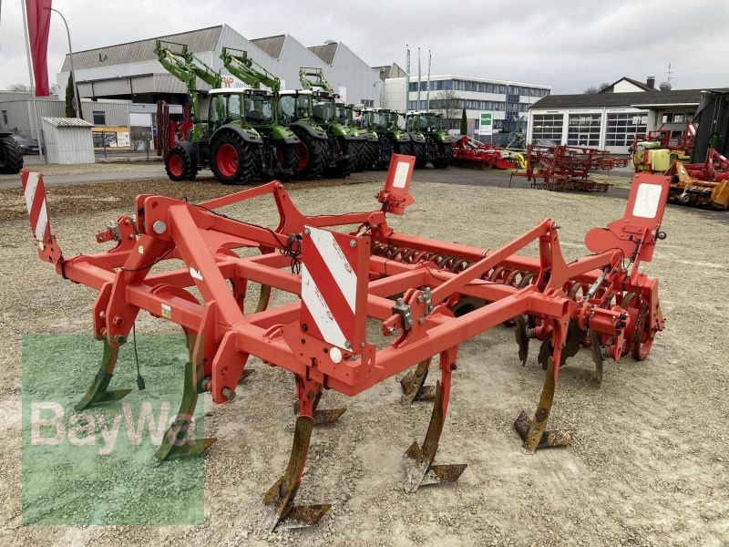 Grubber des Typs Maschio TERREMOTO 300, Gebrauchtmaschine in Dinkelsbühl (Bild 1)
