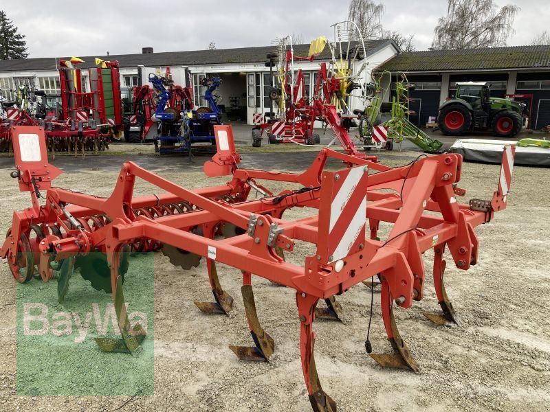 Grubber des Typs Maschio TERREMOTO 300, Gebrauchtmaschine in Dinkelsbühl (Bild 3)