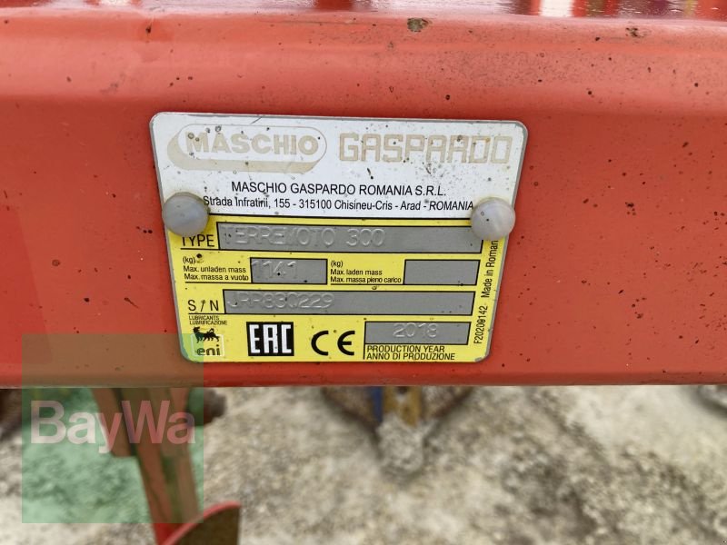 Grubber des Typs Maschio TERREMOTO 300, Gebrauchtmaschine in Dinkelsbühl (Bild 14)