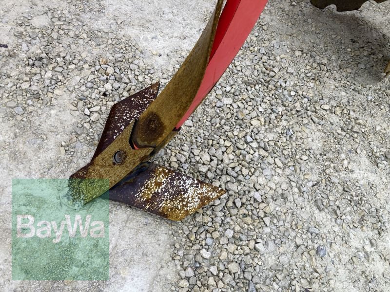 Grubber des Typs Maschio TERREMOTO 300, Gebrauchtmaschine in Dinkelsbühl (Bild 12)