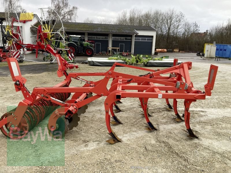 Grubber des Typs Maschio TERREMOTO 300, Gebrauchtmaschine in Dinkelsbühl (Bild 4)