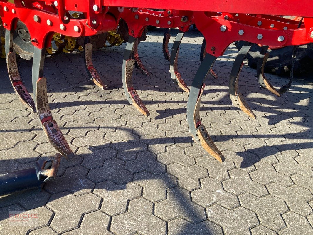 Grubber del tipo Pöttinger Syncro 3030, Gebrauchtmaschine In Bockel - Gyhum (Immagine 4)