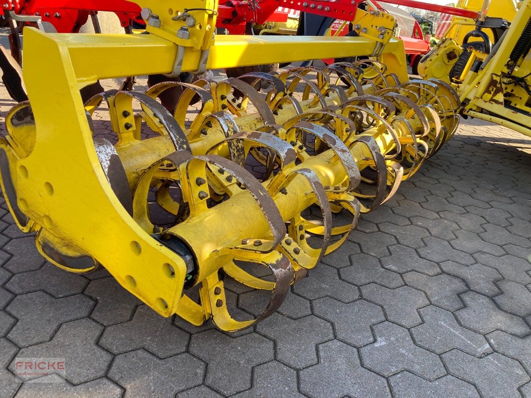 Grubber del tipo Pöttinger Syncro 3030, Gebrauchtmaschine In Bockel - Gyhum (Immagine 8)
