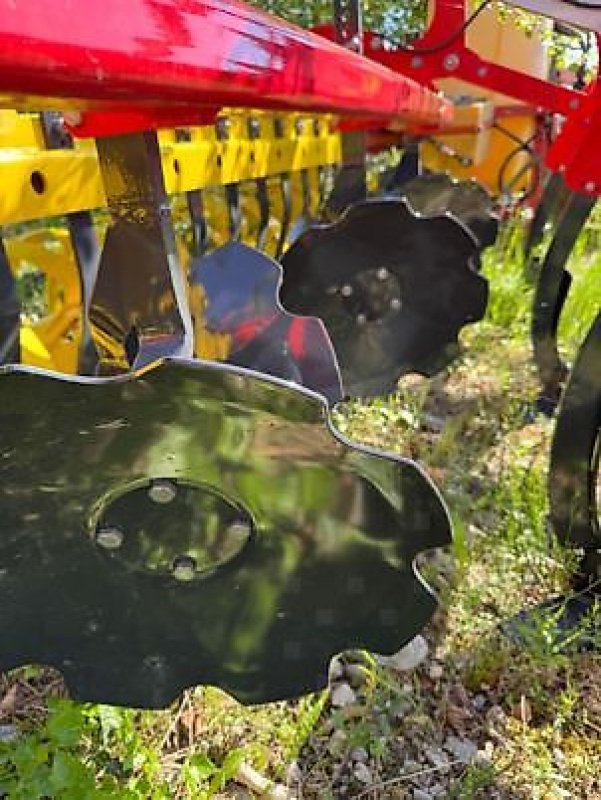 Grubber des Typs Pöttinger SYNKRO 3030, Neumaschine in Muespach (Bild 6)