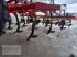 Grubber του τύπου Pöttinger Synkro 4030 K, Gebrauchtmaschine σε Twist - Rühlerfeld (Φωτογραφία 5)