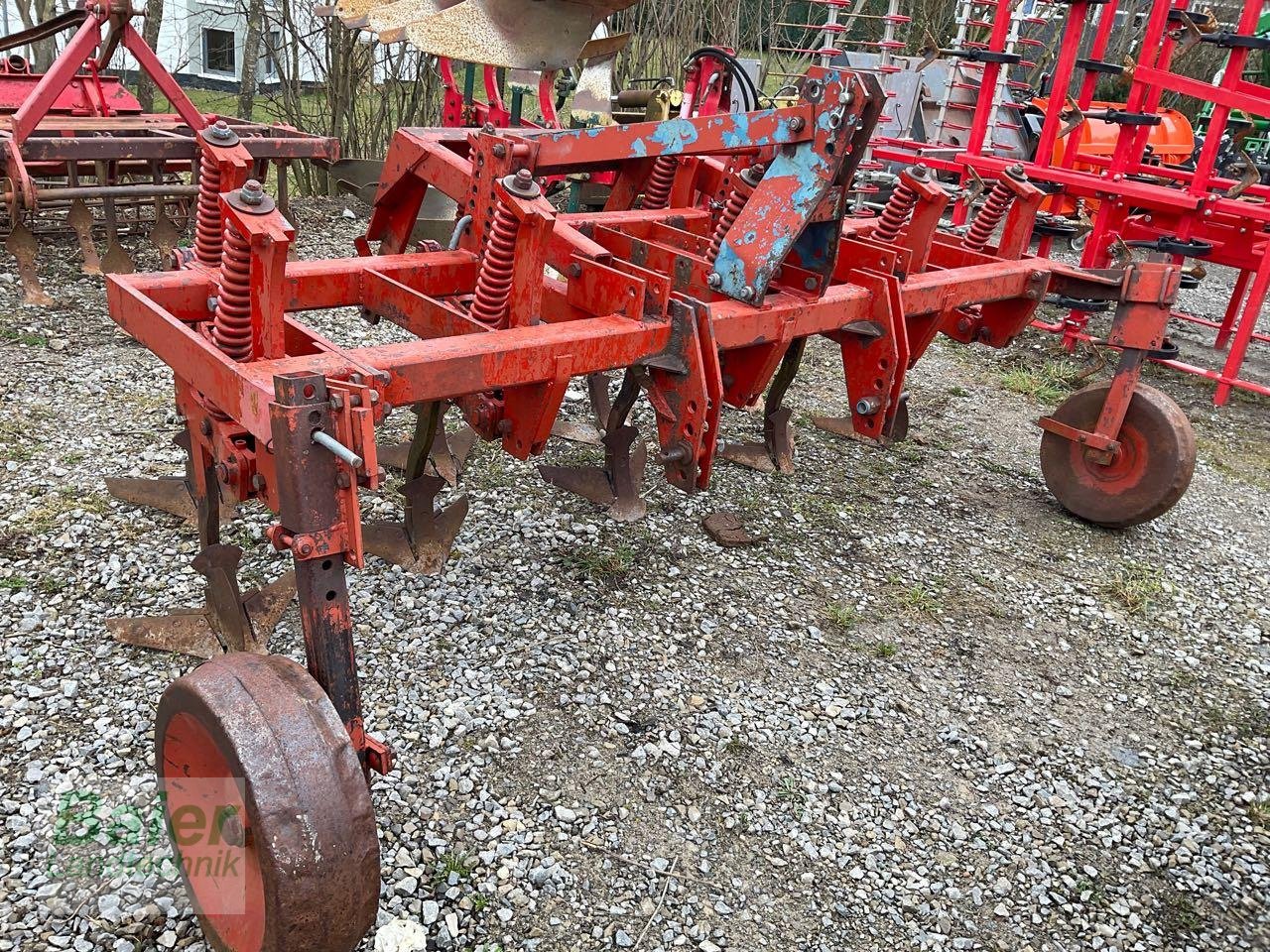 Grubber del tipo Rau N/A, Gebrauchtmaschine In OBERNDORF-HOCHMOESSINGEN (Immagine 1)