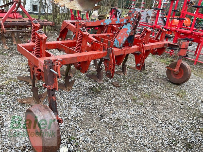 Grubber del tipo Rau N/A, Gebrauchtmaschine In OBERNDORF-HOCHMOESSINGEN