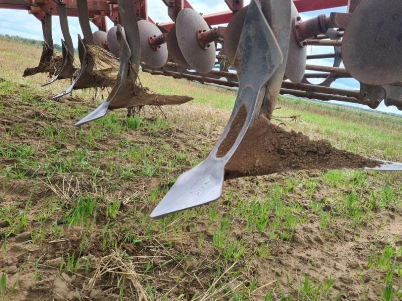 Grubber des Typs Rau POLYMAG, Gebrauchtmaschine in BRAY en Val (Bild 8)