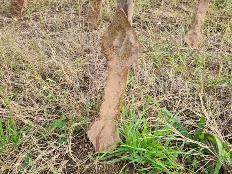 Grubber от тип Rau POLYMAG, Gebrauchtmaschine в BRAY en Val (Снимка 8)