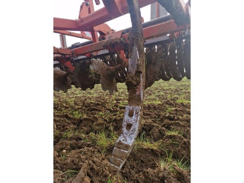 Grubber Türe ait Razol TEOS, Gebrauchtmaschine içinde BRAY en Val (resim 7)