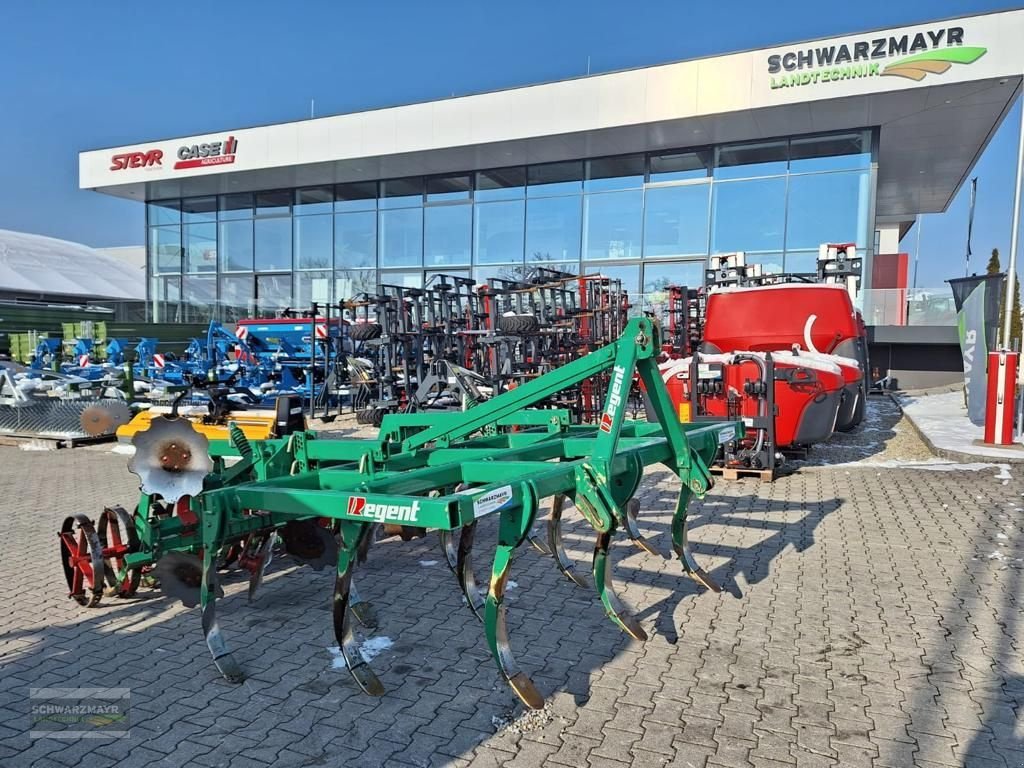 Grubber a típus Regent MSG 300 Tukan, Gebrauchtmaschine ekkor: Gampern (Kép 1)