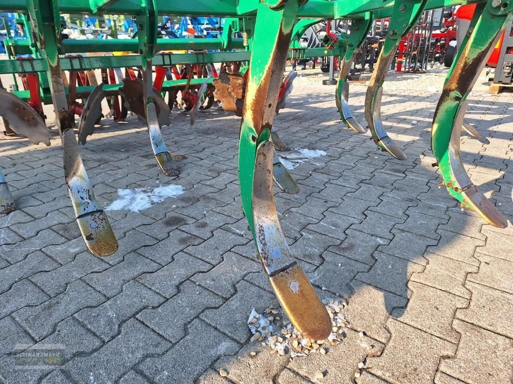 Grubber a típus Regent MSG 300 Tukan, Gebrauchtmaschine ekkor: Gampern (Kép 10)